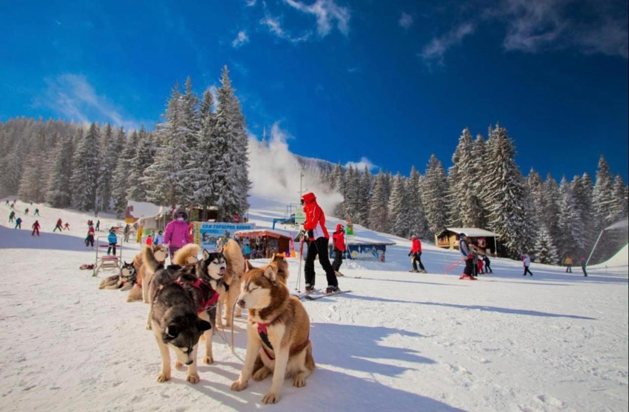 Grand Monastery Deluxe Pamporovo 5 B 3アパートメント エクステリア 写真